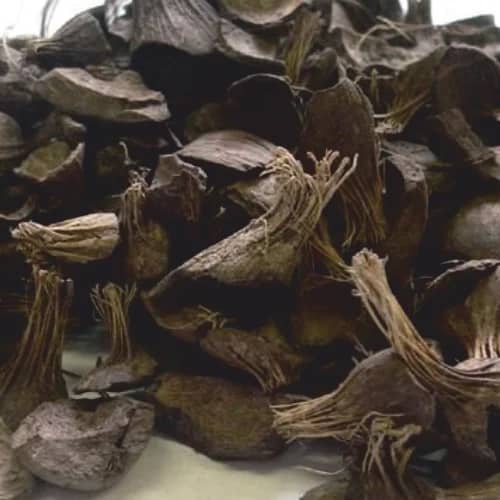 Dark screened palm kernel shells used as biomass fuel
