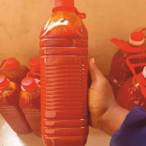 Deep red crude palm oil being poured, with fresh oil palm fruits alongside